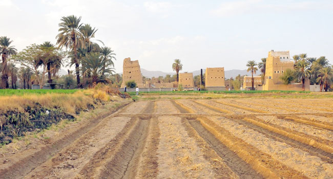 قصور-نجران
